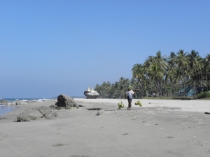 La plage de Ngwe Saung et ses cocotiers au Myanmar